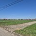 Snagov, Ciofliceni, loturi de casa intre 504-670 mp, Serban Cantacuzino!